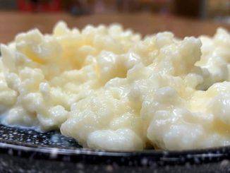 Milk Kefir Grains