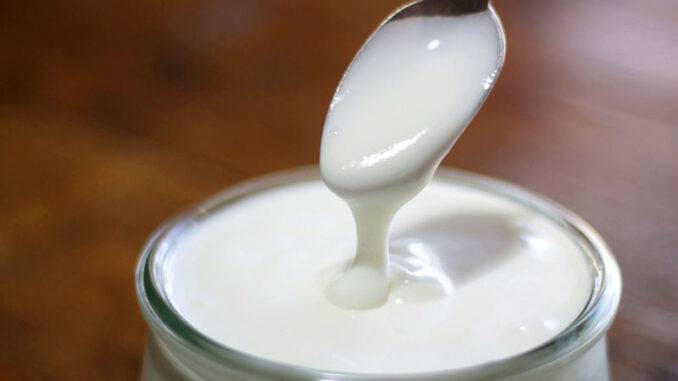Kefir World Kefir World